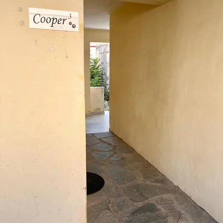 Cooper 3 アパート